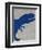 Rawr 1-Kimberly Allen-Framed Premium Giclee Print