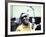 Ray Charles in the Recording Studio-null-Framed Photo