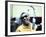 Ray Charles in the Recording Studio-null-Framed Photo