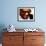 Ray Charles Pensive Portrait-null-Framed Photo displayed on a wall