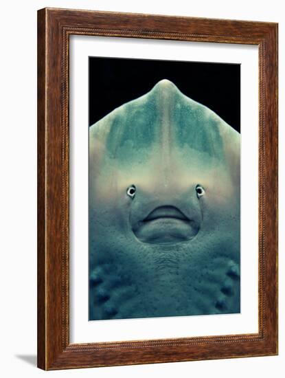 Ray Face-Lantern Press-Framed Art Print