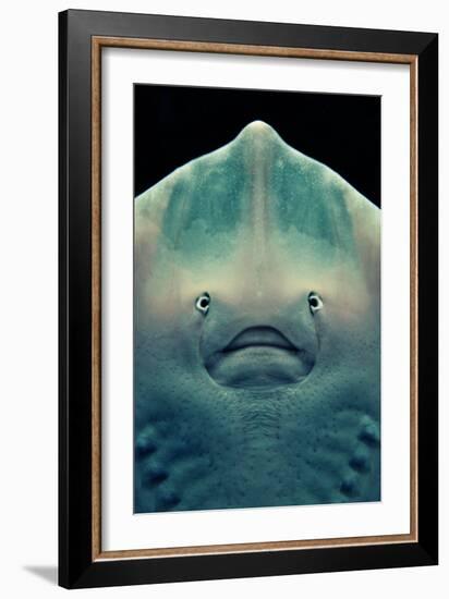 Ray Face-Lantern Press-Framed Art Print