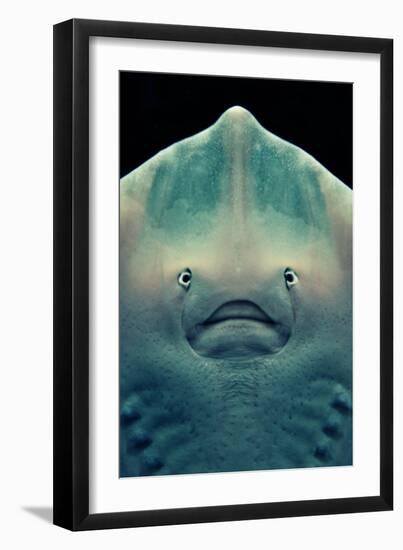 Ray Face-Lantern Press-Framed Premium Giclee Print