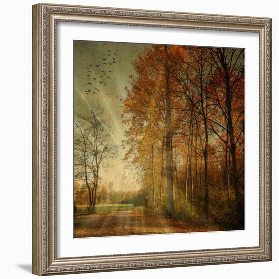 Ray Fall-Philippe Sainte-Laudy-Framed Photographic Print