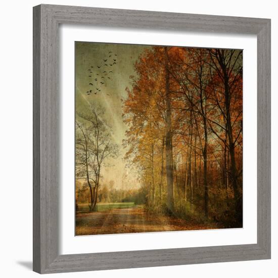 Ray Fall-Philippe Sainte-Laudy-Framed Photographic Print