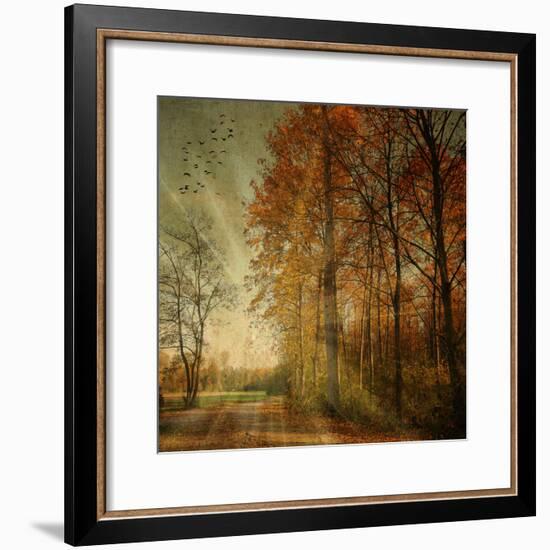 Ray Fall-Philippe Sainte-Laudy-Framed Photographic Print