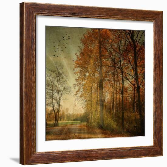 Ray Fall-Philippe Sainte-Laudy-Framed Photographic Print