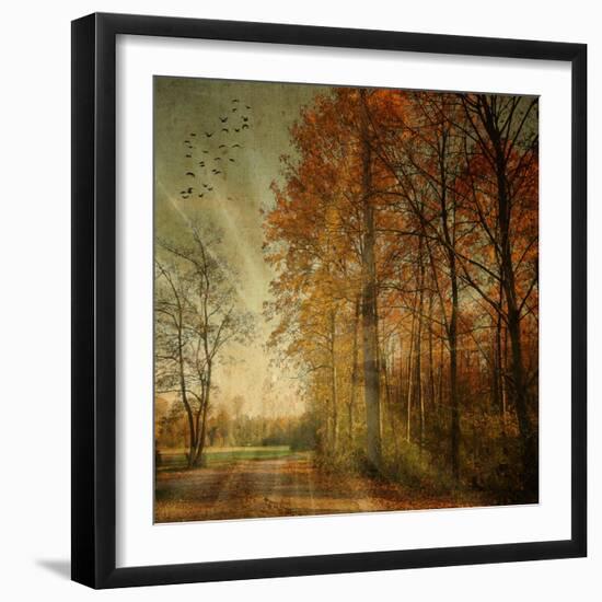 Ray Fall-Philippe Sainte-Laudy-Framed Photographic Print