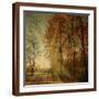 Ray Fall-Philippe Sainte-Laudy-Framed Photographic Print