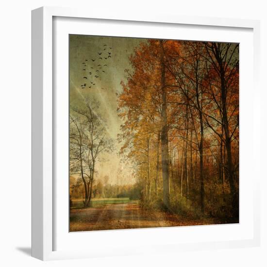 Ray Fall-Philippe Sainte-Laudy-Framed Photographic Print