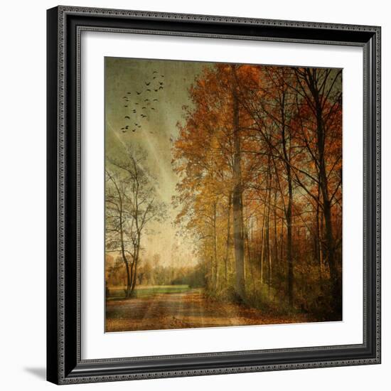 Ray Fall-Philippe Sainte-Laudy-Framed Photographic Print