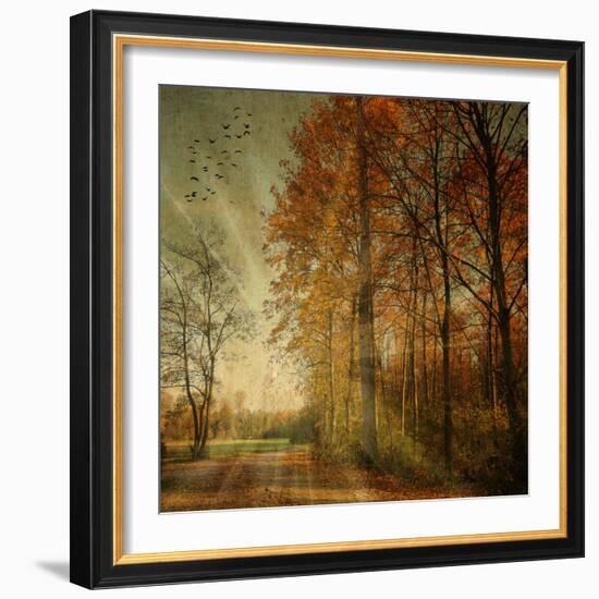 Ray Fall-Philippe Sainte-Laudy-Framed Photographic Print