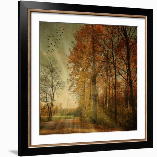 Ray Fall-Philippe Sainte-Laudy-Framed Photographic Print