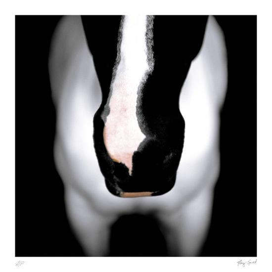 Collectable Print, , large