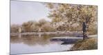 Giclee Print
