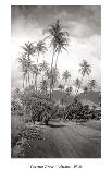 The Surf-Rider Hawaii, Girl with Surfboard, Photo Postcard c.1920-Ray Jerome Baker-Art Print