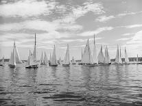Boats Lined up for a Race on Lake Washington-Ray Krantz-Photographic Print