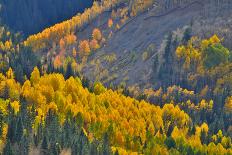 Fall Color Comes to Colorado Along Hwy 145 South of Telluride, Colorado-Ray Mathis-Framed Premier Image Canvas