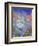 Ray of Light-Sue Clyne-Framed Giclee Print