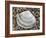 Rayed Trough Shell on Beach, Belgium-Philippe Clement-Framed Photographic Print