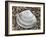 Rayed Trough Shell on Beach, Belgium-Philippe Clement-Framed Photographic Print