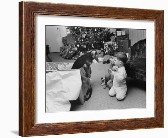 Raymond and Susie McFarland Looking at Their New Airedale Puppy Leaning Out of a Christmas Gift Box-Ralph Crane-Framed Photographic Print