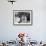 Raymond and Susie McFarland Looking at Their New Airedale Puppy Leaning Out of a Christmas Gift Box-Ralph Crane-Framed Photographic Print displayed on a wall