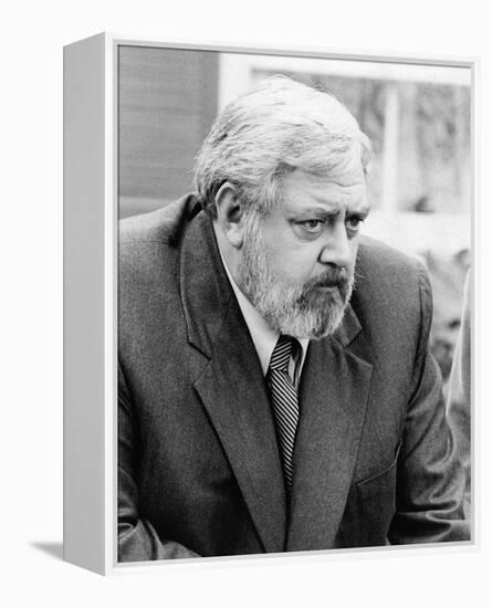 Raymond Burr - Perry Mason Returns-null-Framed Stretched Canvas