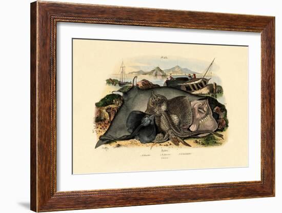 Rays, 1833-39-null-Framed Giclee Print