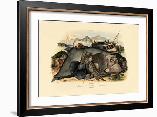 Rays, 1833-39-null-Framed Giclee Print