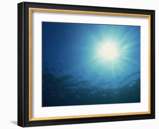 Rays of Sunlight Through the Surface from Underwater, on Similan Island, Thailand, Southeast Asia-Murray Louise-Framed Photographic Print