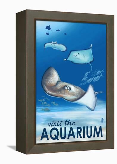 Rays - Visit the Aquarium-Lantern Press-Framed Stretched Canvas