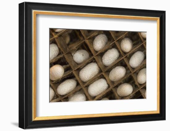 Razing silkworms, Gassho-zukuri house, Ainokura Village, Gokayama, Japan-Keren Su-Framed Photographic Print