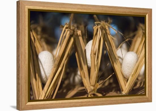 Razing silkworms, Gassho-zukuri house, Ainokura Village, Gokayama, Japan-Keren Su-Framed Premier Image Canvas