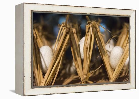 Razing silkworms, Gassho-zukuri house, Ainokura Village, Gokayama, Japan-Keren Su-Framed Premier Image Canvas