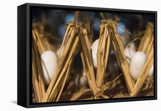 Razing silkworms, Gassho-zukuri house, Ainokura Village, Gokayama, Japan-Keren Su-Framed Premier Image Canvas