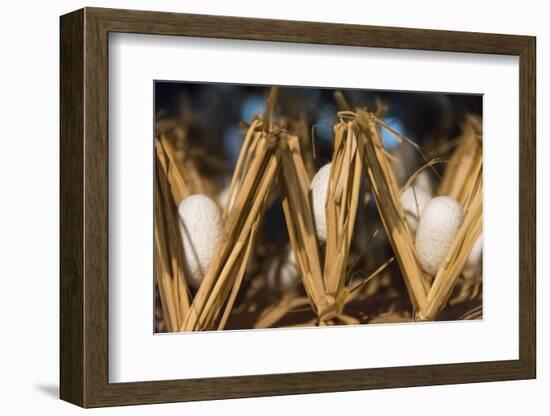 Razing silkworms, Gassho-zukuri house, Ainokura Village, Gokayama, Japan-Keren Su-Framed Photographic Print