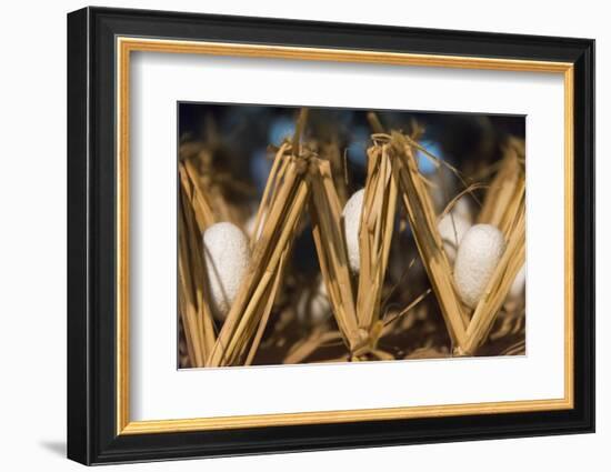 Razing silkworms, Gassho-zukuri house, Ainokura Village, Gokayama, Japan-Keren Su-Framed Photographic Print