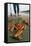 Razor Clams Dug Up on a Beach-David Nunuk-Framed Premier Image Canvas