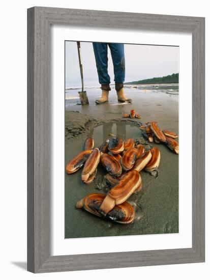 Razor Clams Dug Up on a Beach-David Nunuk-Framed Photographic Print