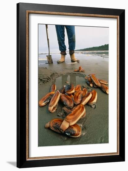 Razor Clams Dug Up on a Beach-David Nunuk-Framed Photographic Print