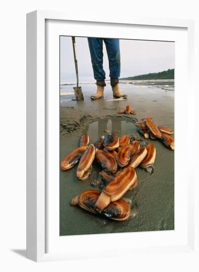 Razor Clams Dug Up on a Beach-David Nunuk-Framed Photographic Print