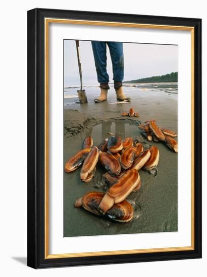 Razor Clams Dug Up on a Beach-David Nunuk-Framed Photographic Print