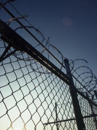 'Razor Wire' Photographic Print | Art.com