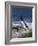 Razorbill-CM Dixon-Framed Photographic Print