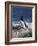 Razorbill-CM Dixon-Framed Photographic Print