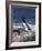 Razorbill-CM Dixon-Framed Photographic Print