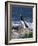 Razorbill-CM Dixon-Framed Photographic Print