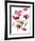 Razzleberry Blossoms-Rebecca Meyers-Framed Art Print