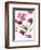 Razzleberry Blossoms-Rebecca Meyers-Framed Giclee Print